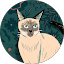 Zeynep Öner Avatar